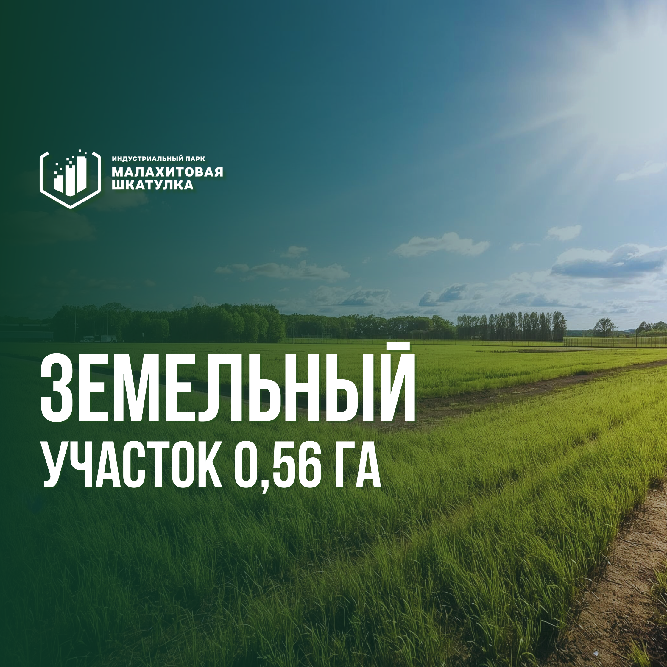 Участок 56,2 сот. (промназначения)